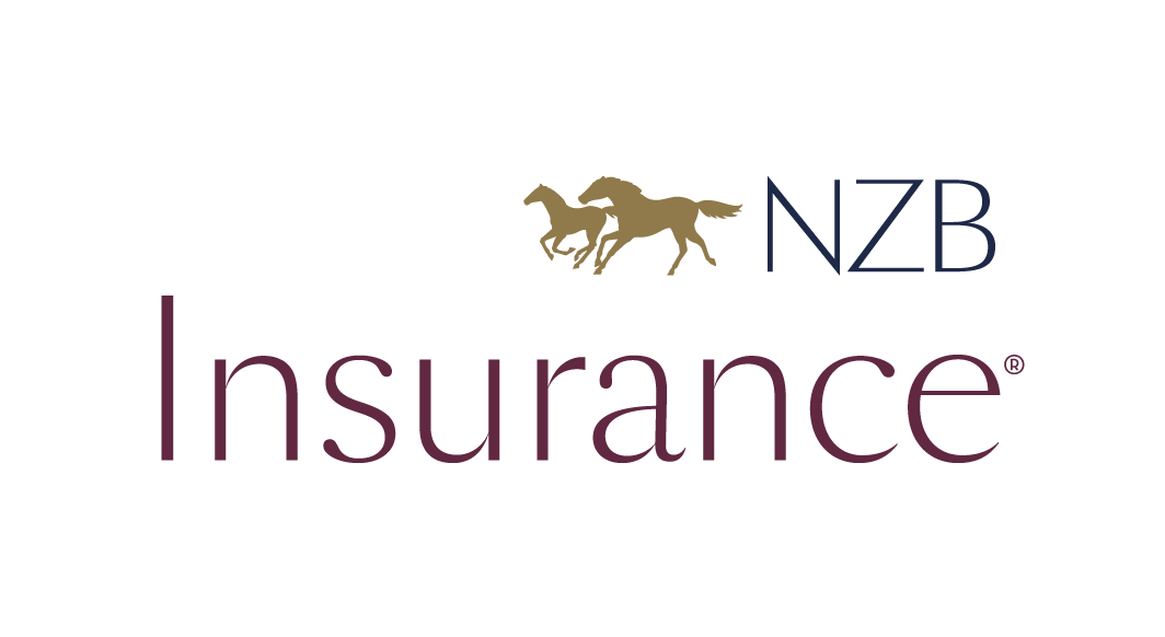 NZB Insurance